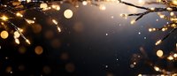 Glowing golden bokeh lights on dark branches against night sky background create magical atmosphere for holiday and winter season designs.