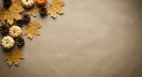 Autumn flat lay with golden maple leaves, mini pumpkins and pine cones arranged on neutral beige background with copy space for seasonal designs.