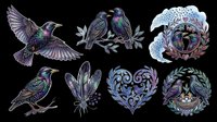 Hummingbird and bird illustrations with decorative floral elements, isolated on transparent background. Ready for t-shirt design, clipart, stickers, sublimation, print-on-demand products and digital crafts.