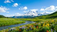 Mountain landscape with snow-capped peak, wildflower meadow, and stream for nature, travel, and environmental design projects.