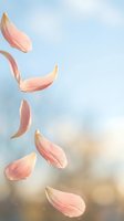 Delicate pink flower petals floating gracefully through soft blue sky with warm golden light creating dreamy romantic atmosphere for wedding designs.