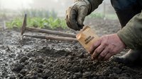 Farmer planting seeds in fertile soil with gardening tools, sustainable agriculture and organic farming practices for healthy crop growth and harvest.