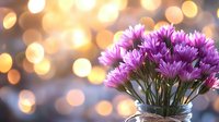 Purple chrysanthemum flowers in glass jar against blurred golden bokeh background creating romantic mood and festive atmosphere for greeting cards.