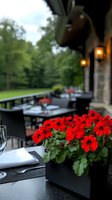 Outdoor restaurant terrace with vibrant red petunias in modern black planter, elegant table settings, and warm patio lighting creating intimate dining atmosphere.