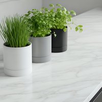Fresh herbs growing in modern self-watering planters on marble kitchen counter. Indoor gardening concept for healthy cooking and sustainable living.
