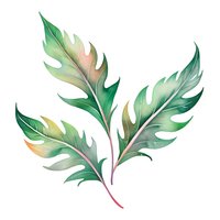 Watercolor tropical philodendron leaves with delicate green gradient and pink stem on white background, isolated botanical art element for design projects.