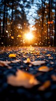 Golden autumn leaves dancing in sunlight through forest at sunset, magical bokeh effect with falling foliage on dark ground, low angle nature photography.