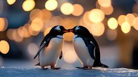 Gentoo penguins touching beaks in romantic pose against blurred golden bokeh lights, standing on snowy ground during sunset or sunrise, creating magical winter scene.