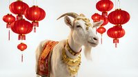 White goat with golden ornaments and red Chinese lanterns for Lunar New Year celebration on isolated background ready for design use.