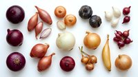 Assorted fresh onions and shallots in various colors and sizes arranged on white background for cooking, recipe development, and culinary design projects.