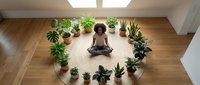 Woman with curly brown hair meditating in lotus position surrounded by potted plants on wooden floor, wellness and mindfulness practice.