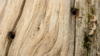 Weathered wooden deck boards with natural grain texture, knots, and moss growth, suitable for rustic design, construction, and outdoor material backgrounds.