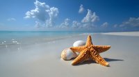 Orange starfish and seashells on pristine white sand beach with turquoise ocean water and blue sky with fluffy white clouds for summer vacation concepts.