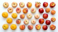 Assorted fresh apples in various varieties and colors arranged on white background, including red, yellow, and golden hues. Suitable for food, nutrition, agriculture, and healthy eating concepts.