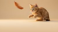 Adorable orange tabby kitten playing with feather toy on neutral background. Playful pet behavior captured in studio setting for animal lovers.