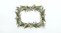 Natural green fern leaves arranged in decorative rectangular frame border on white background. Botanical foliage wreath for organic design projects.