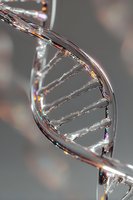 Crystal clear DNA double helix structure with rainbow light reflections against blurred background, representing genetic science and biotechnology research.