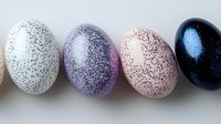 Speckled decorative eggs in white, purple, pink and dark blue arranged in row on neutral background. Textured surface creates modern minimalist Easter decor.