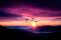 Dramatic purple and orange sunset over misty mountain landscape with silhouettes of birds flying against vibrant sky, rays of sunlight breaking through clouds.