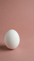 Single white egg standing upright on soft pink background with gentle lighting and minimalist composition for culinary and design projects.