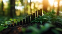Green finance growth concept with golden bar chart rising from forest floor surrounded by ferns and natural vegetation in warm sunlight.