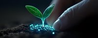 Young green plant sprout growing from soil with glowing blue digital particles, finger touching futuristic seedling representing growth and technology advancement.
