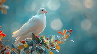 White dove perched on autumn branch with orange leaves against blurred turquoise background with bokeh lights, peaceful nature scene creating serene atmosphere.