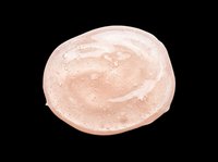 Creamy beige cosmetic cream or foundation sample swirl isolated on transparent background, ready for beauty product packaging, skincare marketing, and design projects.