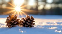 Two pine cones resting in fresh snow with dramatic sunburst and bokeh effect creating magical winter atmosphere. Natural seasonal composition with morning light.