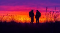 Silhouettes of two hikers with backpacks standing in tall grass against vibrant sunset sky with dramatic purple and orange colors. Nature adventure background.