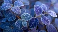 Delicate blue-purple leaves with prominent veins creating a dreamy botanical composition, perfect for nature-inspired designs and wellness concepts.