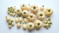 Pale yellow and white heirloom tomatoes with green stems arranged on white background, suitable for food styling, culinary content, and organic produce marketing.