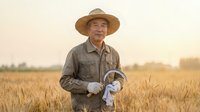 Senior Asian farmer in straw hat holding work gloves standing in golden wheat field during sunset harvest season for agricultural and farming concepts.
