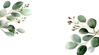 Eucalyptus branches with green leaves frame corners on white background, botanical border design for wedding invitations and natural decor projects.