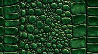Emerald green crocodile skin texture with detailed scales and bubbles pattern creates luxurious leather surface effect. Seamless repeat for fashion and interior design.