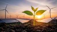 Green plant seedling growing from soil with wind turbines and solar panels at sunset representing sustainable renewable energy and environmental growth.