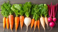 Fresh organic root vegetables with green tops arranged in row on dark wooden background including carrots, turnips, parsnips and red beets.