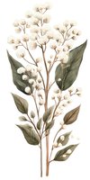 Delicate white baby's breath flowers with olive green leaves in watercolor style on isolated background, suitable for wedding stationery and botanical prints.