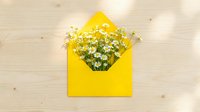 Yellow envelope with white chamomile flowers bouquet on wooden background. Spring greeting card concept for Mother's Day, birthday celebrations.