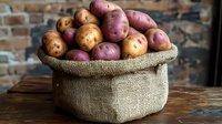 Fresh harvested russet and red potatoes in burlap sack on wooden table against brick wall background, natural farm produce display for food markets.