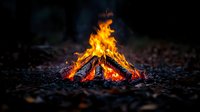 Bright campfire with dancing flames illuminating dark forest floor, creating warm glow against night backdrop for outdoor adventure themes.