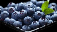 Fresh ripe blueberries with water drops and green leaf in dark container on black background, macro food photography with selective focus.