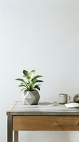Minimalist home office desk with potted plant in geometric planter, coffee mug and notebook creating clean workspace aesthetic for interior design.