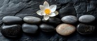 White lotus flower on dark stones arranged in row against black slate background, creating zen and spa atmosphere for wellness and meditation concepts.