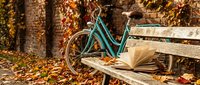 Vintage turquoise bicycle parked beside wooden bench with open book in autumn park setting with golden fallen leaves and ivy-covered brick wall background.