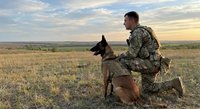 Military soldier in camouflage uniform kneeling with trained German Shepherd dog during golden hour sunset in open field landscape for security operations.