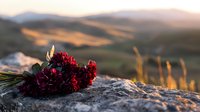 Red carnations lying on rocky surface against blurred mountain landscape at sunset, creating romantic mood with warm golden light and soft bokeh background.