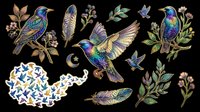 Colorful hummingbirds and feathers with botanical elements isolated on transparent background, ready for t-shirt design, clipart, stickers, sublimation and print-on-demand projects.