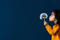Asian girl in yellow sweater blowing dandelion seeds against dark blue background, side view portrait capturing childhood wonder and innocence in minimalist setting.