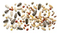 Mixed nuts and seeds collection scattered on white background for healthy snacking and cooking recipes isolated on transparent backdrop.